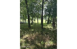 walelu trail Tr, Vonore, TN 37885