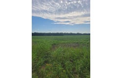 Tbd S U. S. HIGHWAY 271 Highway, Deport, TX 75435
