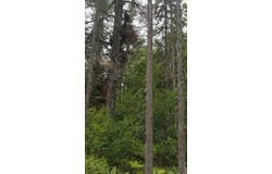 Camp 6 Road, McMillan, MI 49853