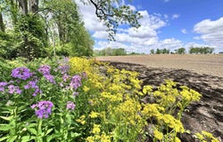4681 N 350 W, Lebanon, IN 46052