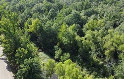 Dardanelle, AR 72834