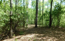 250 Cliffs Falls Parkway, Salem, SC 29676