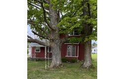 3134 Kneeland Street, Lewiston, MI 49756