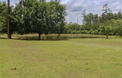 352 Pleasant Valley Road, Rainbow City, AL 35906