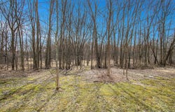 8710 Hagar Shore Road, Watervliet, MI 49098