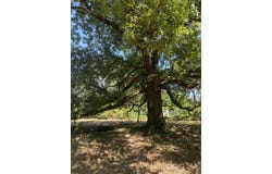 000 Lawrence 1200, Aurora, MO 65605