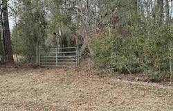 11331 E Us Highway 90, Lee, FL 32059