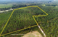347 Peachtwig Road, Monetta, SC 29105