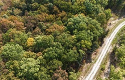 Sandstone Point lot: 95, Monticello, KY 42633