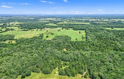 Tbd CR 113, Whitesboro, TX 76273