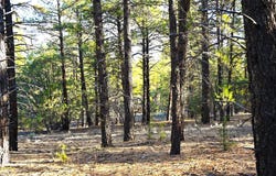 Tierra Bonita S/D, Tierra Amarilla, NM 87575