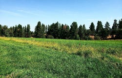 804 Drift In Lane, Stevensville, MT 59870
