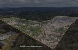 8260 KERMIT JOHNSON ROAD lot: 1, 2, 3, 3B, PINSON, AL 35126