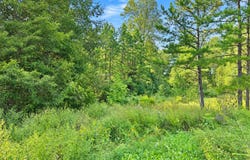 33 Karbers Ridge Road, Herod, IL 62947