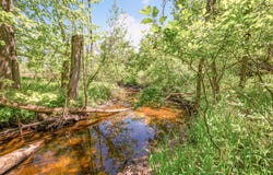 V/L 220th Avenue, Big Rapids, MI 49307