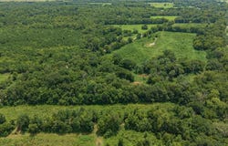 11660 Gamm Road, Belcher, LA 71004