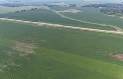 Tbd County 61, Browerville, MN 56438