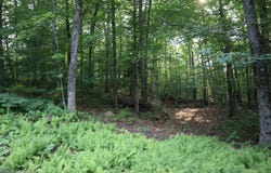 0 Fayle Road, Hoffmeister, NY 13353