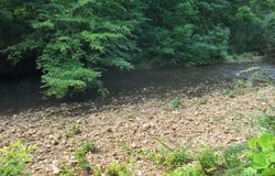 117 Willowbrook Dr, Florence, AL 35630