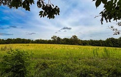 496 County Road 496, Lexington, AL 35648
