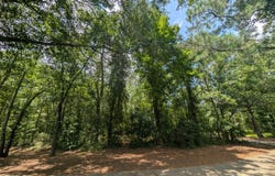 Wallace, NC 28466