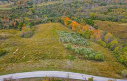 Lot #2 Georgetown Road, Owenton, KY 40359