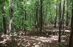 0 Parksbrook Road A, Ellijay, GA 30540