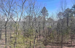 660 Mill Creek Road, Higden, AR 72067
