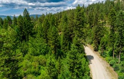 3124 ORIENT CUTOFF RD, ORIENT, WA 99160