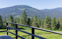 360 BARNABY CREEK RD, INCHELIUM, WA 99138