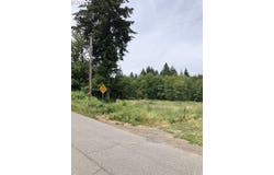 Cougar ST, Vernonia, OR 97064