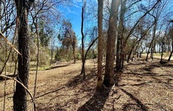 000 Plum Street, Mabank, TX 75156