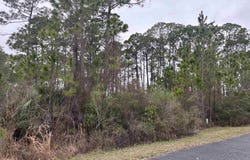 Wilderness Way lot: 42, Panacea, FL 32346