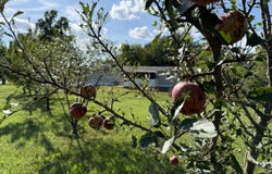 204 Pin Oak Lane, Billings, MO 65610