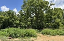 2640 & 2680 John Watts Road, Nicholasville, KY 40356