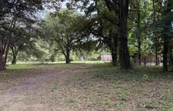 Oakleigh Street, Hawkins, TX 75765