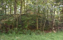 Sichting Road, Martinsville, IN 46151