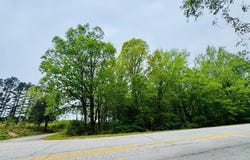 961 HWY 28 BYPASS, Abbeville, SC 29620