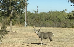 61-63 Ward Road, Justiceburg, TX 79330
