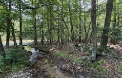 LOT 72 PARKSIDE DRIVE, BERKELEY SPRINGS, WV 25411