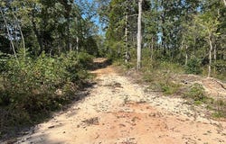 01 Firetower Road, Camden, TN 38320