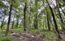 0 Bennett Colter Rd., Rentz, GA 31075