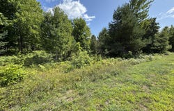 Daisys Way, Kinross, MI 49752