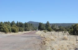 160R E Hunt Drive, Show Low, AZ 85901