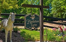 7246 Plantation Lane, Cumming, GA 30028