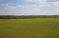 TBD Browns Pond Road, Wagener, SC 29164-0000