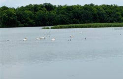 21631 Kandi-Swift Road NW, Norway Lake Twp, MN 56289