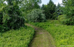9325 S Cedar Drive, Allendale, MI 49401