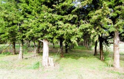 123 N 1st St, Lincoln, KS 67455