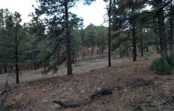 A015 County Road, Mora, NM 87732